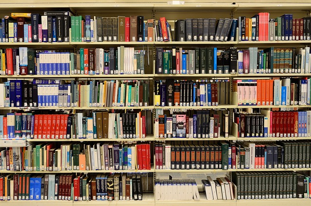 Alumni-Erfahrungen: Erfolgsgeschichten aus Handelshochschulen